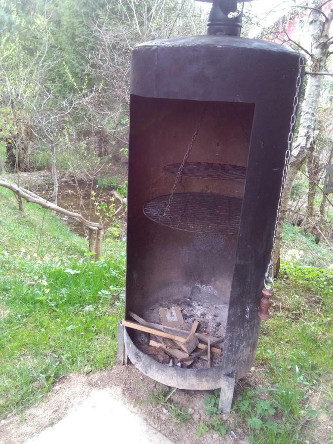 Jasionka Apartment Ustrzyki Dolne Luaran gambar